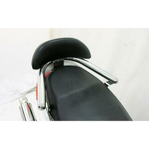 �V�O�i�XX�i1�^�j����SE12J �o�b�N���X�g�t��38�Ӄ^���f���o�[L�o�[�W���� �u���C�A���g�^�C�v �E�C���Y�E�B���iWirusWin�j