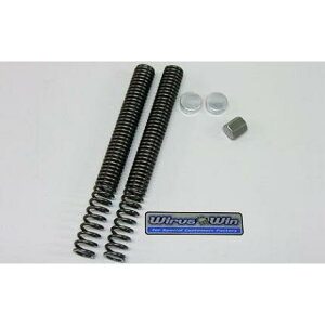 VOiXXi1^jSE12J [_E tgtH[N XvO ECYEBiWirusWinj