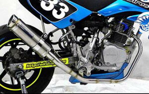 [VO}t[ ECYEBiWirusWinjXR100^[h