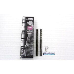 [_E tgtH[N XvO ECYEBiWirusWinj Dio110iEBJ-JF31j2011N-