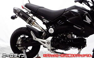 GROM�i�O�����jJC61�i1�^�j13�`15�N ���C�����}�t���[ ���[���^�C�v �u���b�N�J�[�{���i�t���G�L�]�[�X�g�j �E�C���Y�E�B���iWirusWin�j