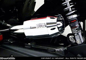 PCX125^ u[Y^CvGAN[i[Lbg ECYEBiWirusWinj