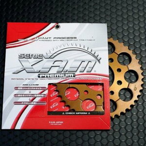 ���A�X�v���P�b�g�v���~�A�� XAM�i�U���j CBR600F4i �i�����j�i01/02�N�j