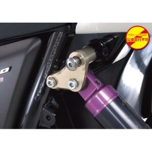 SPEC-A AVbNA^b`g YAMAMOTO RACINGi}g[VOj CB1300SFi03`07Nj