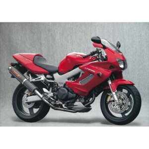 SPEC-A XbvI}t[ J[{TCT[ YAMAMOTO RACINGi}g[VOj VTR1000F