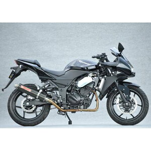 SPEC-A XeX}t[2-1 J[{TCT[ YAMAMOTO RACINGi}g[VOj Ninja250RijWj08Nf