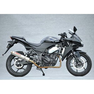 SPEC-A XeX}t[2-1 `^TCT[ YAMAMOTO RACINGi}g[VOj Ninja250RijWj08Nf