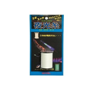 ACCEL ANZ  i` A[ ^a GM nhChpi ދ