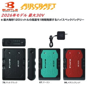 �o�[�g�� AC10 �o�b�e���[ �G�A�[�N���t�g�p AC10-1�p AC10-2�p �}�b�g�u���b�N �}�[���� ���^���b�N���b�h 30V ��