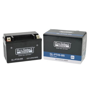 vZNg PSB107 GL-PTX9-BS imEWFobe[(YTX9-BS݊) t[d WF^Cv X9 1 oCNp JX^Wp