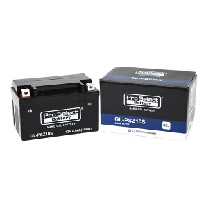 �v���Z���N�g PSB113 GL-PSZ10S �i�m�E�W�F���o�b�e���[(YTZ10S�݊�) �t���[�d�� �W�F���^�C�v Z10S 1�� �o�C�N�p �J�X�^���W���p��