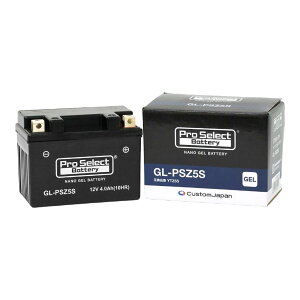 vZNg PSB172 GL-PSZ5S imEWFobe[(YTZ5S݊) t[d WF^Cv Z5S 1 oCNp JX^Wp