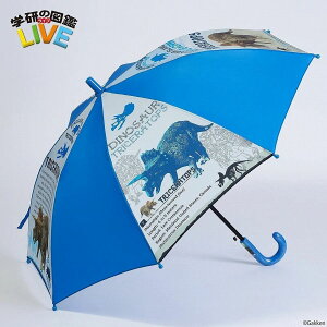 GKK-204B �w���̐}�Ӄ��C�u ���� �g���P���g�v�X �q���p�P 50cm �L�b�Y �c�t�� ���w�� �j�̎q �J�P ���P