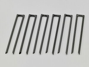 fCgi 31383 MCnEXpŒAJ[ U