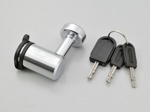 fCgi 31255 XgK[fBXNbN 12.5 oCN c[O JM  bN h~