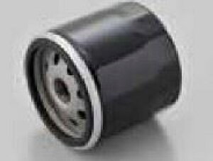 fCgi 35021 vCXICtB^[Ɩp F-23 J[gbW DUCATIn 10 oCN eiX