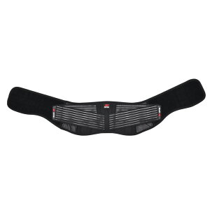 DFG ANVX BfBOxg(6inch) oCN EGXg  ʋC