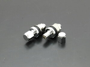 h~RNV 10993 GA[ou 2Zbg ėp ^Cp[c