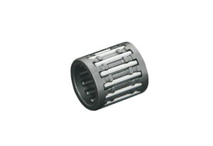 h~RNV 13077 X[xAO 1 H2/A/B/C GW p[c