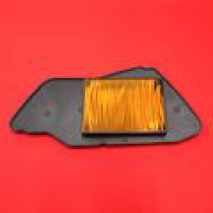 Oh} AR-2009 GAtB^[ BWS125(COf)(2008-) oCN/֎ԗp zC C p[c