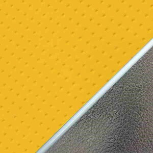 Oh} GH5556KC250P20 YV[gJo[ փ^Cv G{XCG[/pCsO W650(99N) oCN/֎ԗp