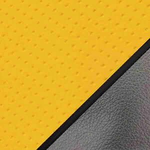 Oh} GH5573HC250P10 YV[gJo[ փ^Cv G{XCG[/pCsO NXJu(JA10/CC110) oCN/֎ԗp