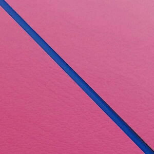 �O�����h�}�� GH71YC320P50 ���Y�V�[�g�J�o�[ ���փ^�C�v �s���N/�p�C�s���O �V�O�i�XX(SE12J)��p�d�l �o�C�N/��֎ԗp