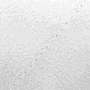 Oh} GH76HC540S0 YV[gJo[ փ^Cv Vo[/Xeb` x[(CL50) oCN/֎ԗp