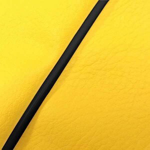 Oh} GR24SC520P10 YV[gJo[ 킹^Cv CG[/pCsO bc2(CA1KA) O^N oCN/֎ԗp