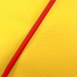 Oh} GR24SC520P40 YV[gJo[ 킹^Cv CG[/ԃpCsO bc2(CA1KA) O^N oCN/֎ԗp