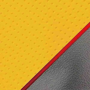 �O�����h�}�� GR74SC250P40 ���Y�V�[�g�J�o�[ �킹��^�C�v �G���{�X�C�G���[/�ԃp�C�s���O �A�h���XV50(CF42/44A) 4�X�g �o�C�N/��֎ԗp