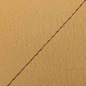 Oh} GH20HC490S40 YV[gJo[ փ^Cv yF/ԃXeb` X}[gfBI/Z4(AF56) oCN/֎ԗp