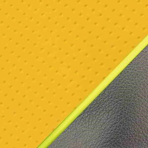 �O�����h�}�� GH41HC250P100 ���Y�V�[�g�J�o�[ ���փ^�C�v �G���{�X�C�G���[/���F�p�C�s���O �n�~���O(NC50) �o�C�N/��֎ԗp