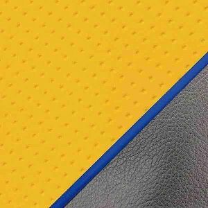 �O�����h�}�� GH41HC250P50 ���Y�V�[�g�J�o�[ ���փ^�C�v �G���{�X�C�G���[/�p�C�s���O �n�~���O(NC50) �o�C�N/��֎ԗp