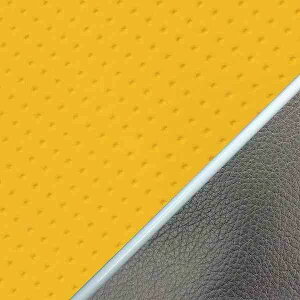 Oh} GH46HC250P20 YV[gJo[ փ^Cv G{XCG[/pCsO WY(AC09) oCN/֎ԗp