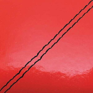 Oh} GH46HC560SW10 YV[gJo[ փ^Cv Gibh/_uXeb` WY(AC09) oCN/֎ԗp