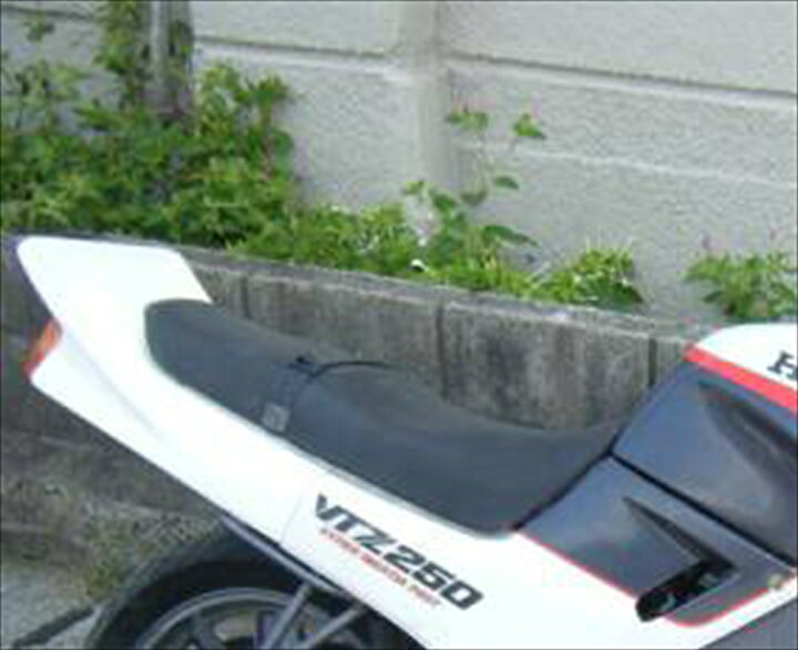 楽天市場】VTZ250 CBX テールカウル 変換キット タイプ1 : バイクマン 