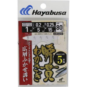nuT C260-1-0.2 uт킩 HcLcl^ LwӂU b1/nX0.2 5{b1Zbg JTM d| n j W ދ  Hayabusa