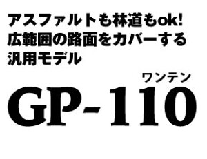 GP-110 4.60S18