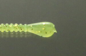 ꐽ CY Xpe #010 `[g(O[) 2.5C` 14 \tgA[ [ ^a GT tBbVO Cނ ދ issei