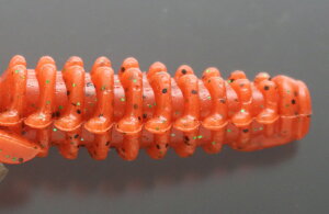 ꐽ CY WRoO #019 fB[vIW 2.6C` 7 \tgA[ [ ^a GT tBbVO Cނ ދ issei