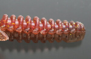 ꐽ CY WRoO #018 bNtBbVSP 3.2C` 6 \tgA[ [ ^a GT tBbVO Cނ ދ issei