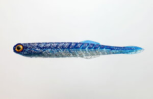 ꐽ CY J^N`[ #025 CV 4.5C` 6 \tgA[ [ ^a GT tBbVO Cނ ދ issei