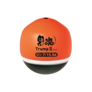 LUN gv2 EVO 00 16.1g ނ tBbVO ދ  EL