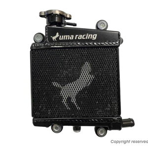 KN��� 02R00090-KN UmaRacing ��e�ʃ��W�G�[�^�[ �V�O�i�X�O���t�@�X BW'S125 X FORCE FORCE2.0 AUGER NMAX155 NMAX125 AEROX155 NVX155 �o�C�N 280cc