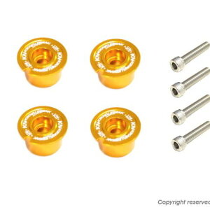 KN KN-FBCY-02-GD A~tA{[hJ[2 S[h VOiXX VOiXOt@X BW'S125 BW'S X BW'S R oCN Œ{g