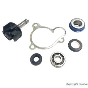 KN��� KN-WPMJ-01 �E�H�[�^�[�|���v���y�A�L�b�g �}�W�F�X�e�B250 �o�C�N �p�[�c