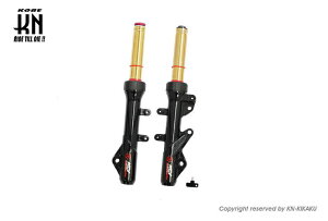 KN 999E01N212UBGO-KN NCY tgtH[N N-21 /CjV S[h VOiXX 4^5^