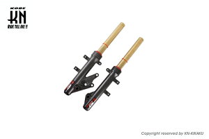 KN 999E01FORCEAGO-KN NCY AhoXtgtH[N N-17 S[h }WFXeBS SMAX tH[X