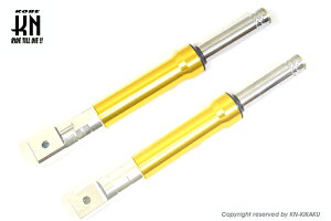 KN FF00-ZM-GD A~otgtH[N S[h fBI XN[s[ Y[}[